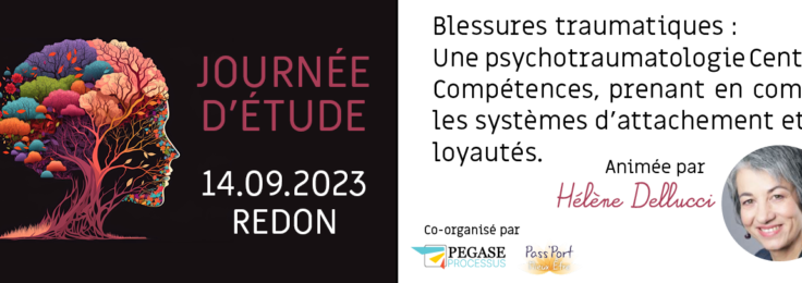 Journée d’étude avec Hélène Dellucci : Blessures traumatiques – une psychotraumatologie Centrée Compétences, prenant en compte les systèmes d’attachement et de loyautés.